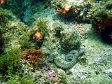 2013-06-12 11-28-02 Steven